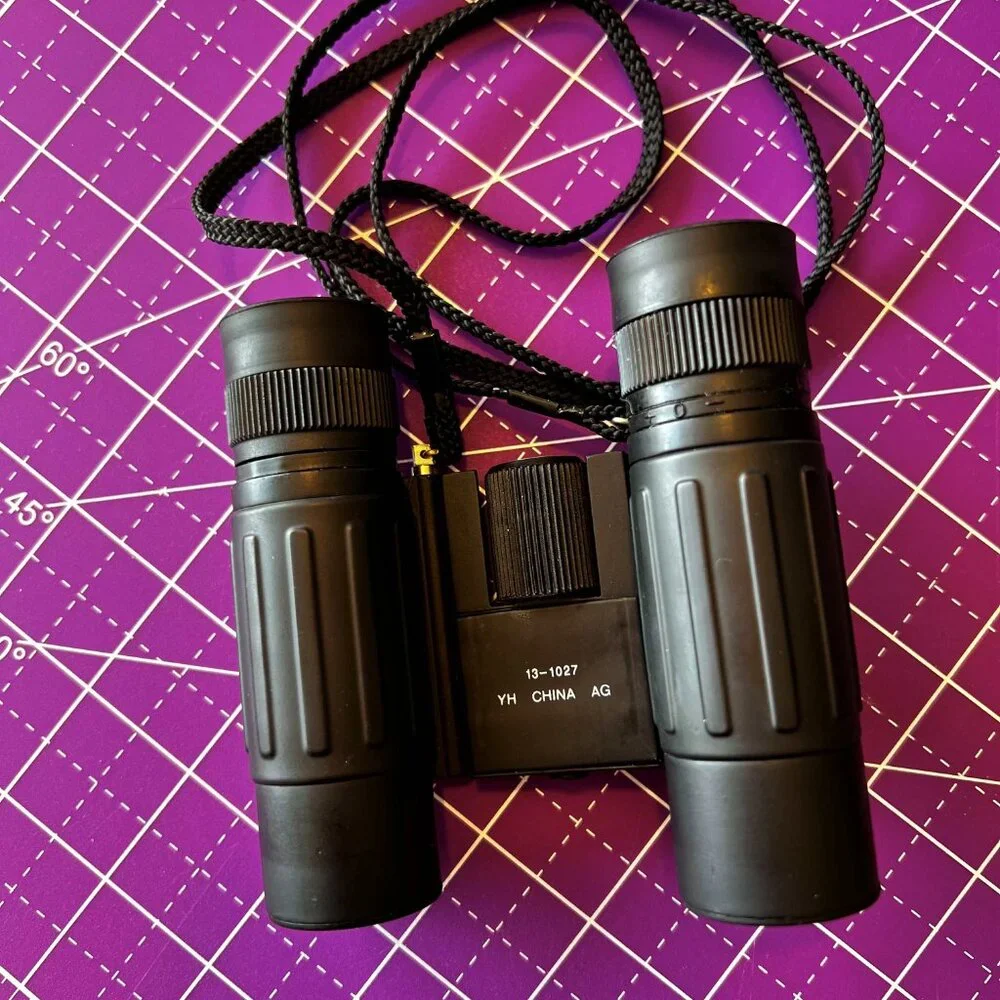 Vintage Bushnell 10x25 Binoculars 13-1027 w/case LIKE NEW!